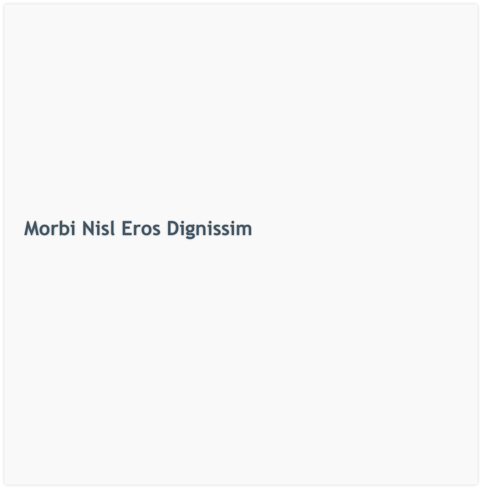 Morbi Nisl Eros Dignissim
